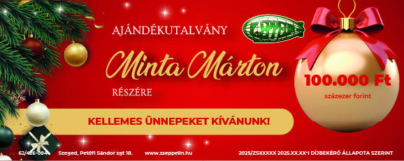 Ajándékutalvány – Ünnepi sablon