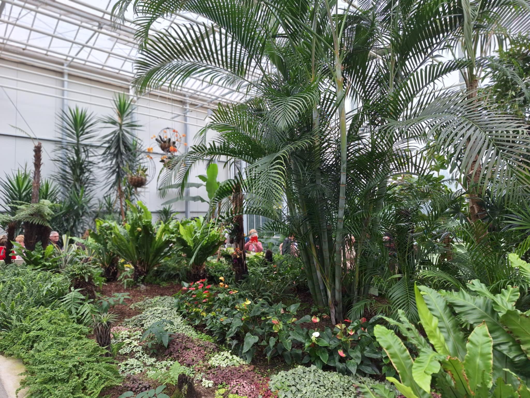 ORCHIDEÁK KAVALKÁDJA SZLOVÉNIÁBAN - UTAZÁS BUSSZAL - Z(s)eppelin utazás